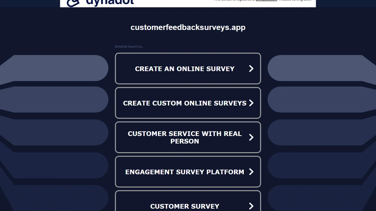 Customer Feedback Surveys interface screenshot